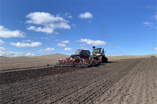 免耕播种小麦:掌握4大核心环节,省力又增产的现代种植方案