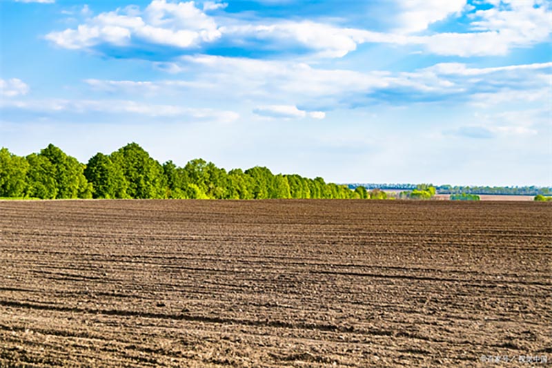 从法规到行动：全方位教你如何有效维护自家土地权益