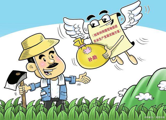 2025粮食补贴全攻略：从标准到申领，一文全掌握