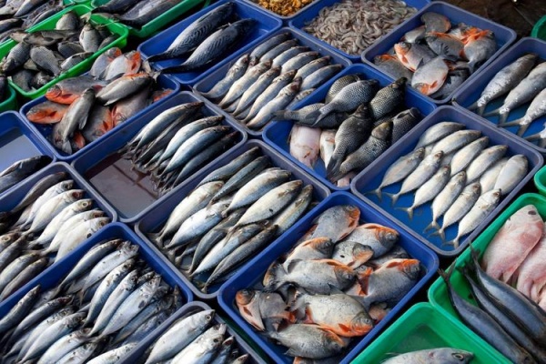 餐桌上的蓝色经济：水产业悄然升级，这些变化关乎每个人