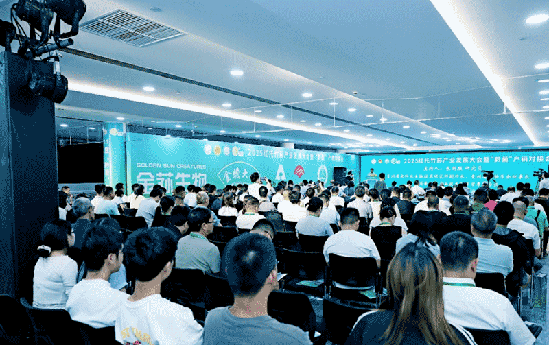 红托竹荪产业大会在贵阳召开，19省份专家共商全产业链发展