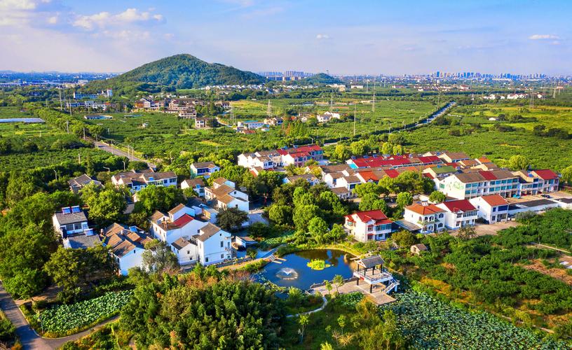 解读中央一号文件：乡村振兴的关键行动与政策支持