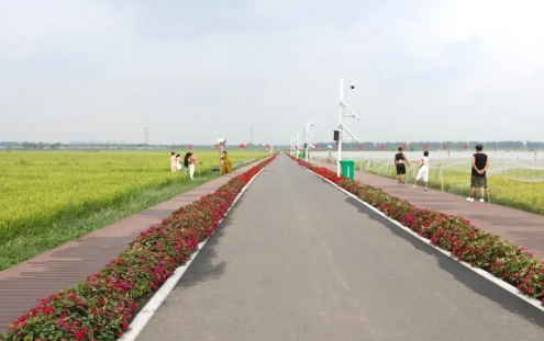 公主岭房身岗子村借 300 亩稻田发展农旅村民增收日子更红火