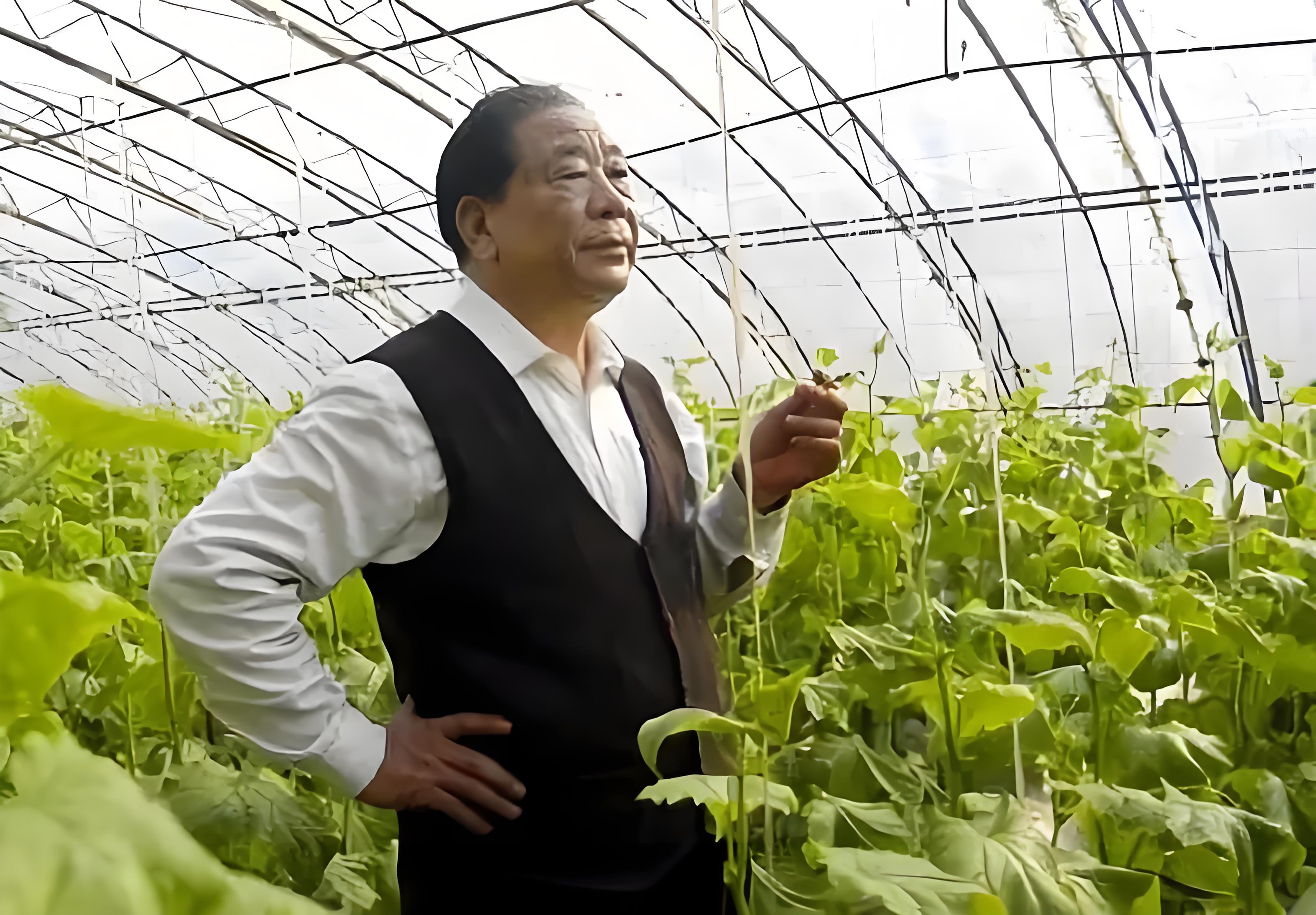 王乐义：蔬菜田间的领航者，乡村振兴的逐梦人