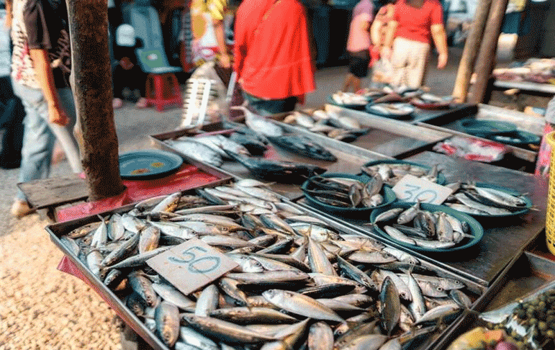 无法人工养殖的春季野生海鱼推荐：鲅鱼、小黄鱼、带鱼等美味与营养解析
