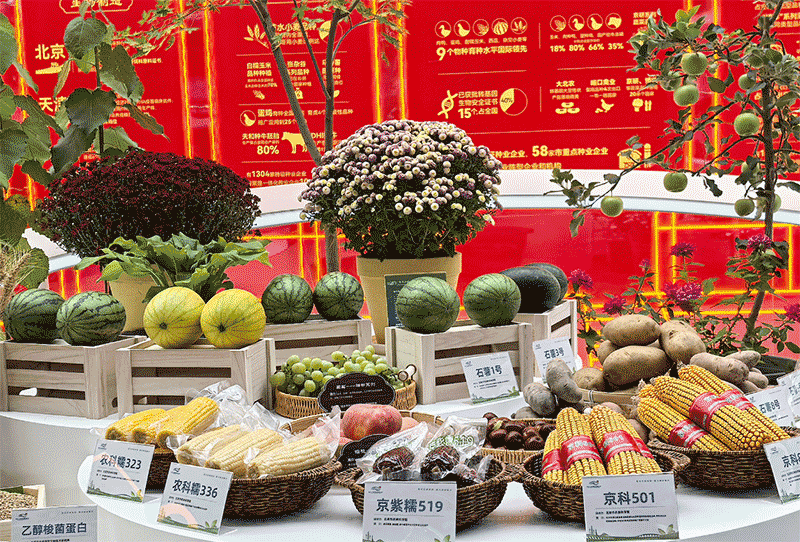 633项农业黑科技亮相，北京种业大会推动智能育种新时代