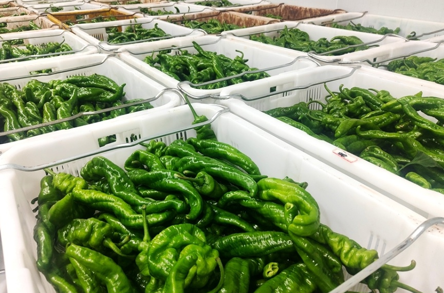 宣威凤凰街道 &ldquo;企业 + 村集体&rdquo; 模式：冷库带脱贫户家门口就业