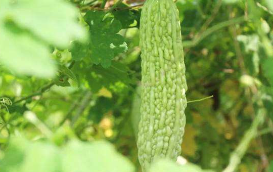 Localized image from t5.picb.cc