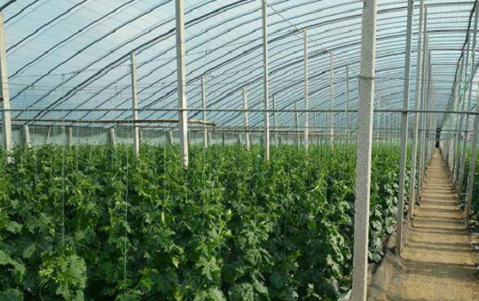 Localized image from t5.picb.cc