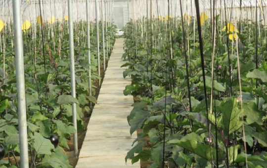 Localized image from t5.picb.cc