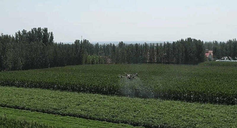 潍坊市农业保险相关场景