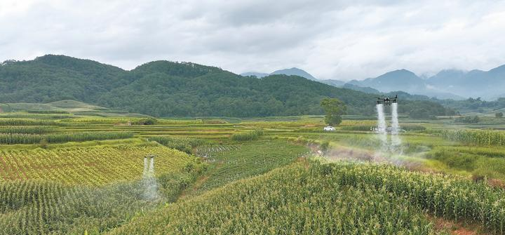 镇沅农业无人机作业