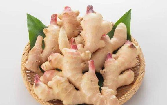 潍坊:让“老味道”长出“新产值” ——11项省级农业遗产背后的保护与赚钱辩证法