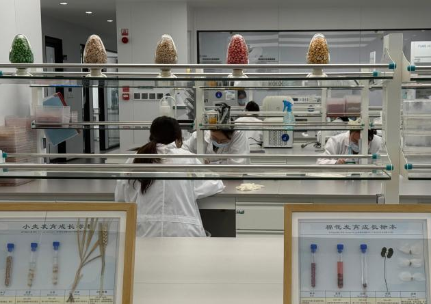 昌吉的万亩农田