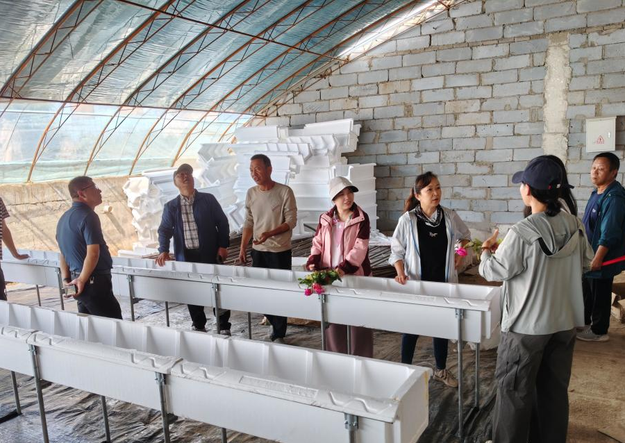 专家在培训课上讲解