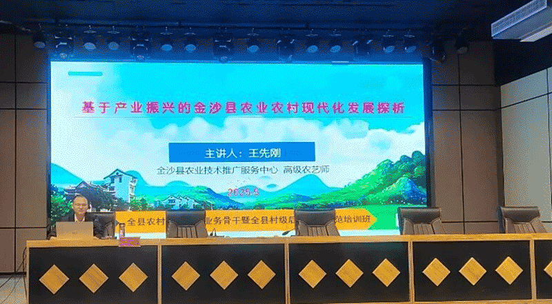 王先刚进行油菜种植技术指导