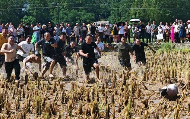 丹棱县张场镇丰收市集