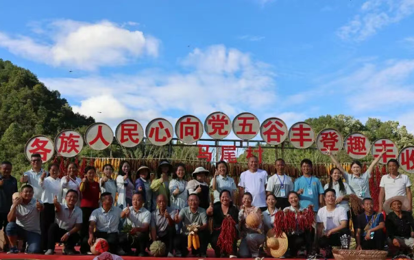 黔南州刺梨采摘