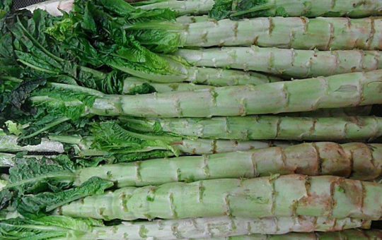 莴苣种植全攻略：最佳播种时间与科学管理方法