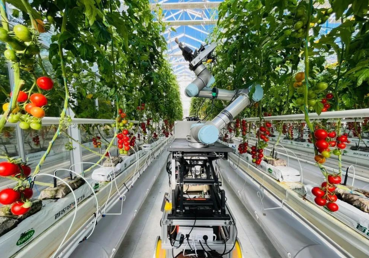 世界首台智能育种机器人“吉儿”诞生,开启育种新时代