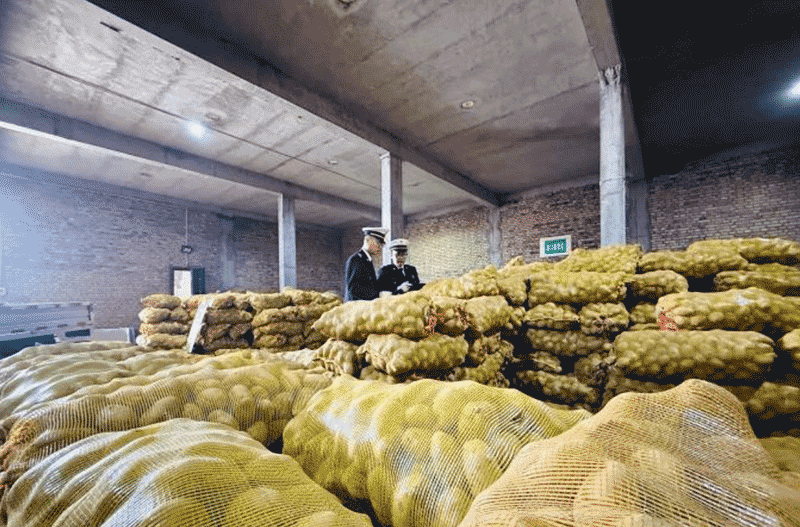 青海高原冷凉蔬菜出口海关工作服务站挂牌成立