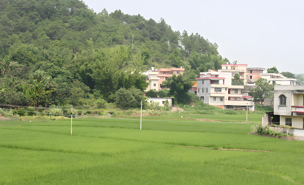 电力助力，这个山西小镇靠种药材富起来了