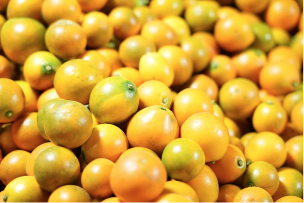 百元一斤的&ldquo;金桔爱马仕&rdquo;，如何从桂北山区走向世界？