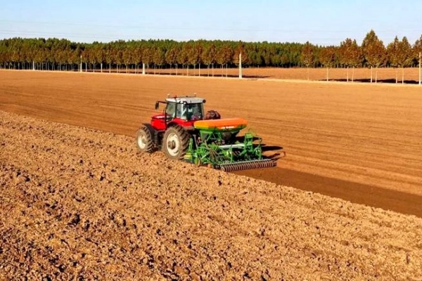 秋季播种有哪些要点？秋季播种有哪些技巧？