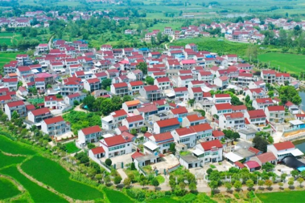 怀宁乡村走访见闻：特色产业铺就致富路