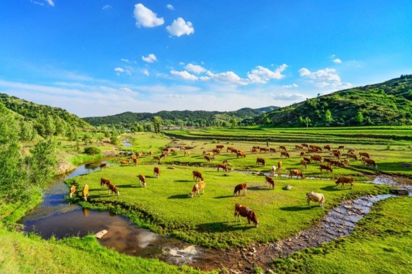 山西和顺县上半年规上工业增加值增长18.9%,多元转型驱动高质量发展