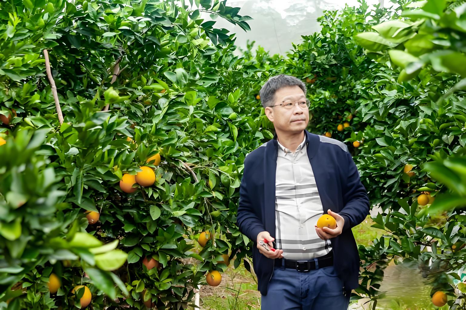 从菜篮子到上市公司,黄俊辉的30年农业实干路