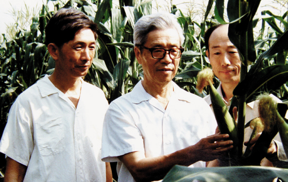 李竞雄：中国玉米育种科学的奠基人，为中国玉米育种事业耕耘一生