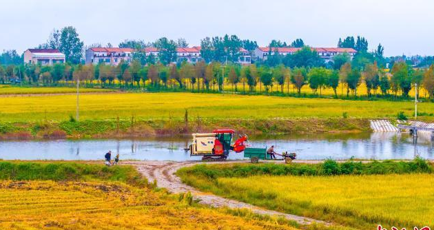 从“旱包子”到“智慧田”:襄阳654万亩高标准农田背后的粮安密码