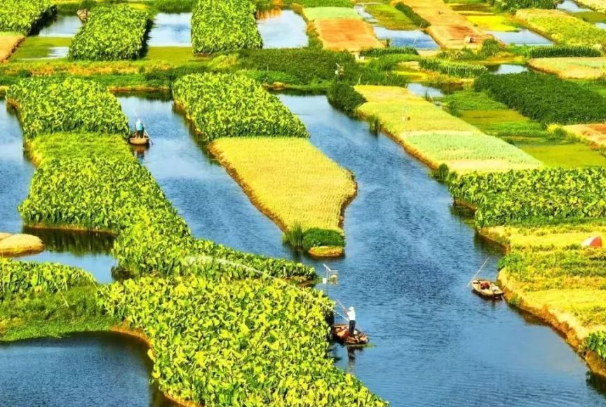 从东罗到阿者科：解码中国19村登顶世界最佳旅游乡村的硬核逻辑