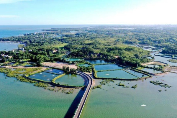 古渔村“潮”变记:牛路村海陆统筹绘就振兴新画卷