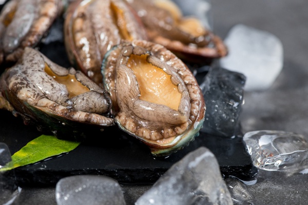 养殖什么最赚钱？养殖什么利润高又好养？