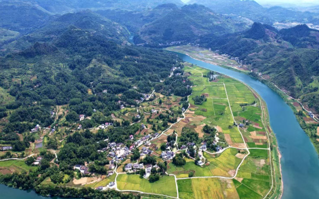 重庆酉阳大溪镇：产业学院助力乡村振兴结硕果