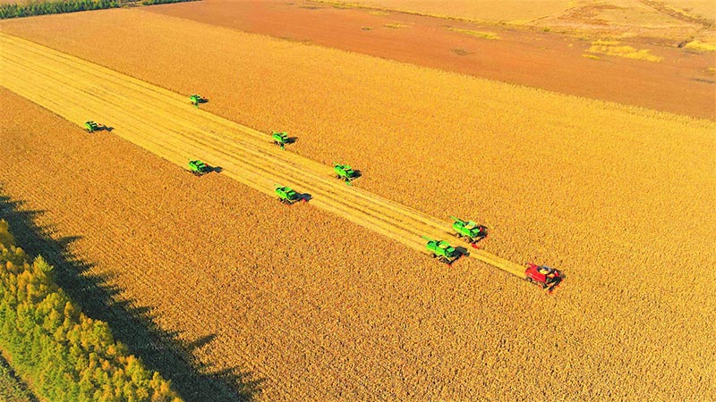 2025年世界粮食日活动在京启动，我国粮食节约减损成效显著