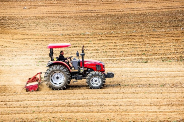 2025年农业补贴政策解读：你能领到多少？