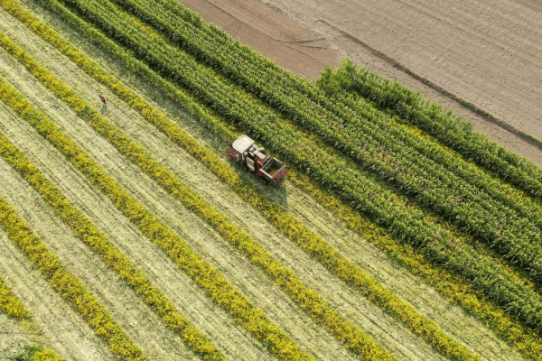 “十四五”自然资源成绩单出炉!全国耕地面积净增加了2800万亩