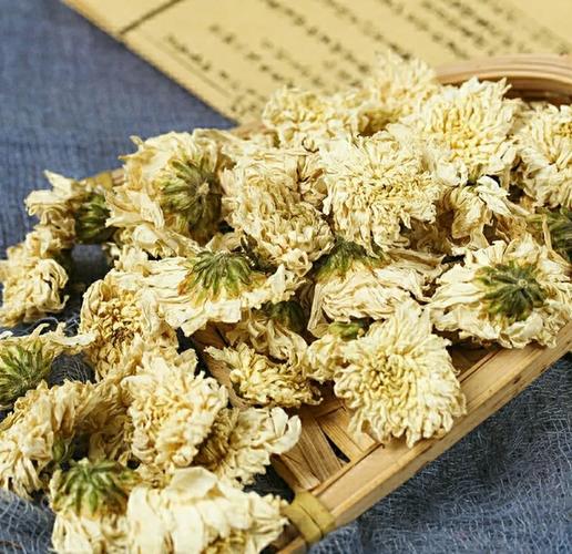 2025年种什么最赚钱？这4种种植作物门槛低、回本快，新手也能月入过万