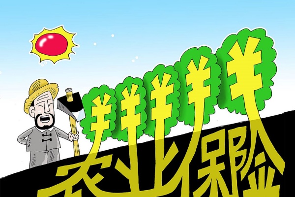 一文读懂农业保险:它是什么,如何保障你的收成?