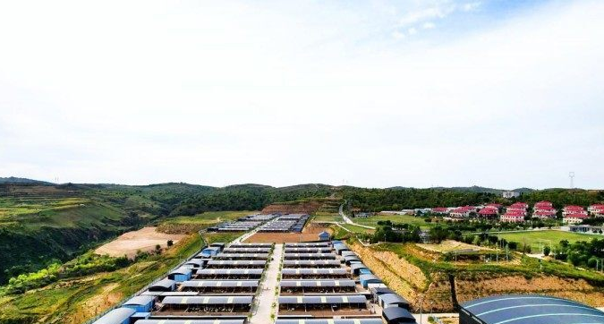 从窑洞到云端：横山“双珍”直播带货的逆袭密码