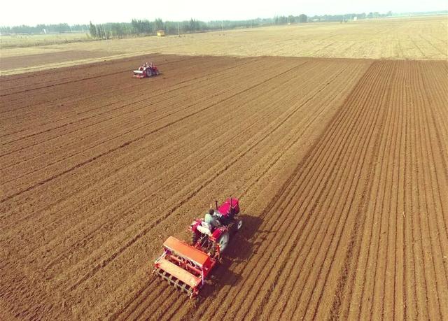 小麦播种晚了怎么补救?