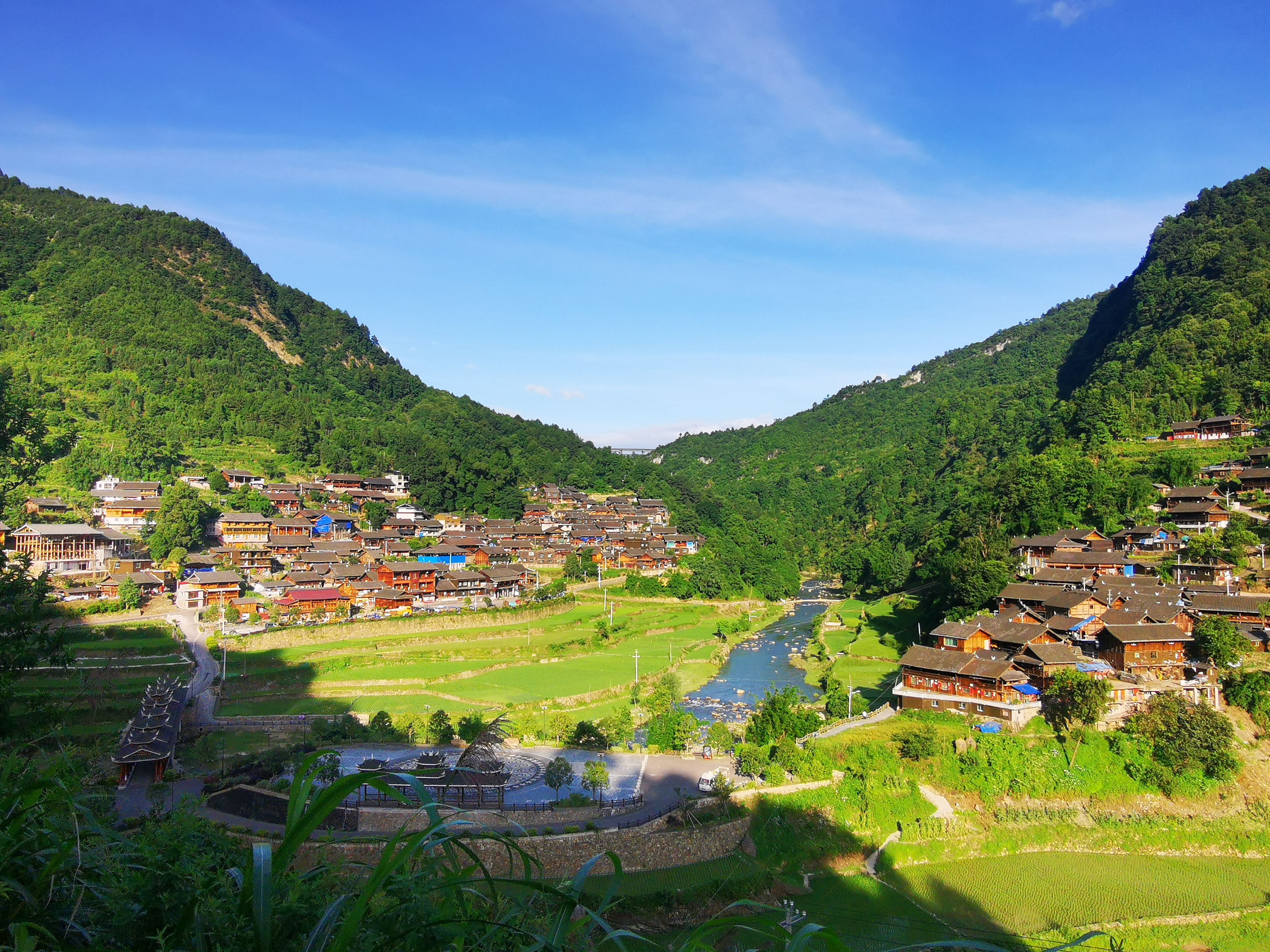 绣球花开出共富路：长沙县银龙村奏响乡村振兴协奏曲，实现百花齐放的美丽蜕变