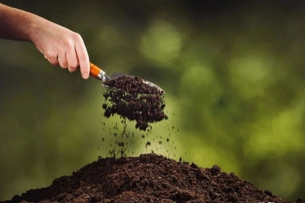 有机肥料怎么选?一份说清价格、种类和挑选技巧