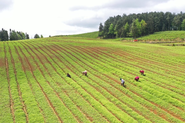谁说种地不挣钱？这5个赚钱路子，最后一条太关键！