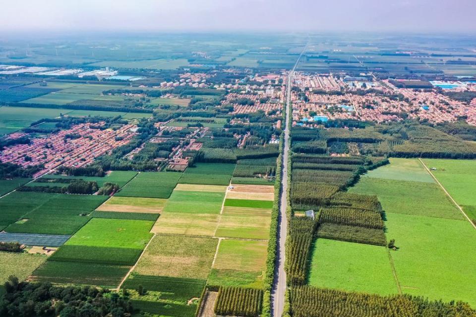 潍坊农业产业化升级:从“吃饭农业”到“竞争力农业”的跨越