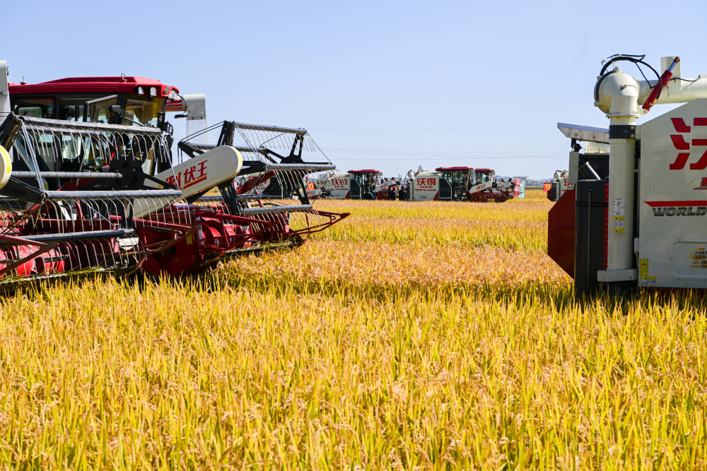 黑龙江秋收基本结束，多项工作同步推进成果丰硕