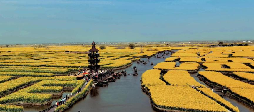 中国式农业农村现代化加速推进：从&ldquo;十四五&rdquo;成就看农业强国新图景